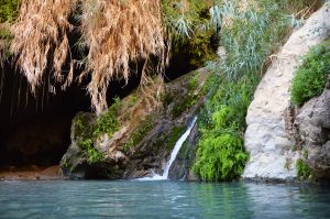 wadi david, israel, isrbnb, b&b